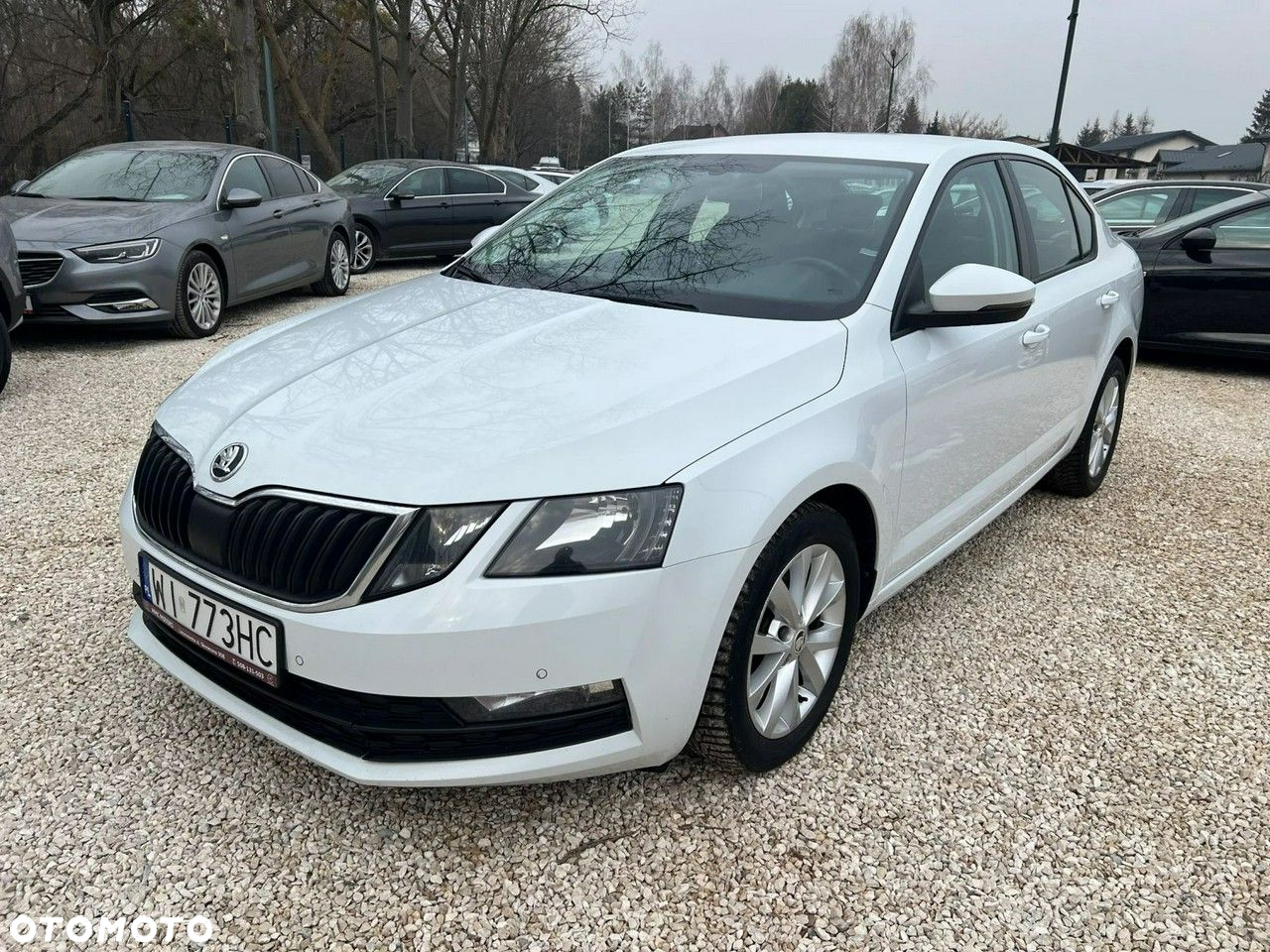 Skoda Octavia 1.6 TDI Ambition DSG - 19
