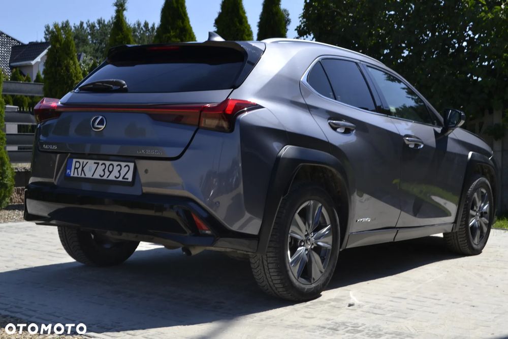 Lexus UX 250h Prestige 2WD - 16