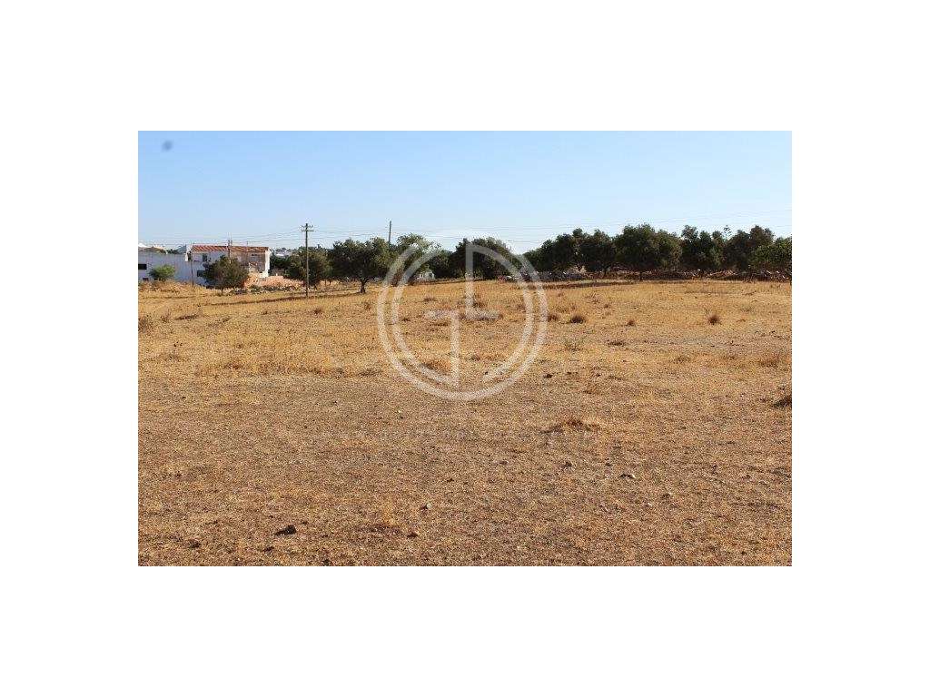 Oportunidade única! Terreno estrategicamente localizado em Cortesõe... - Grande imagem: 2/12