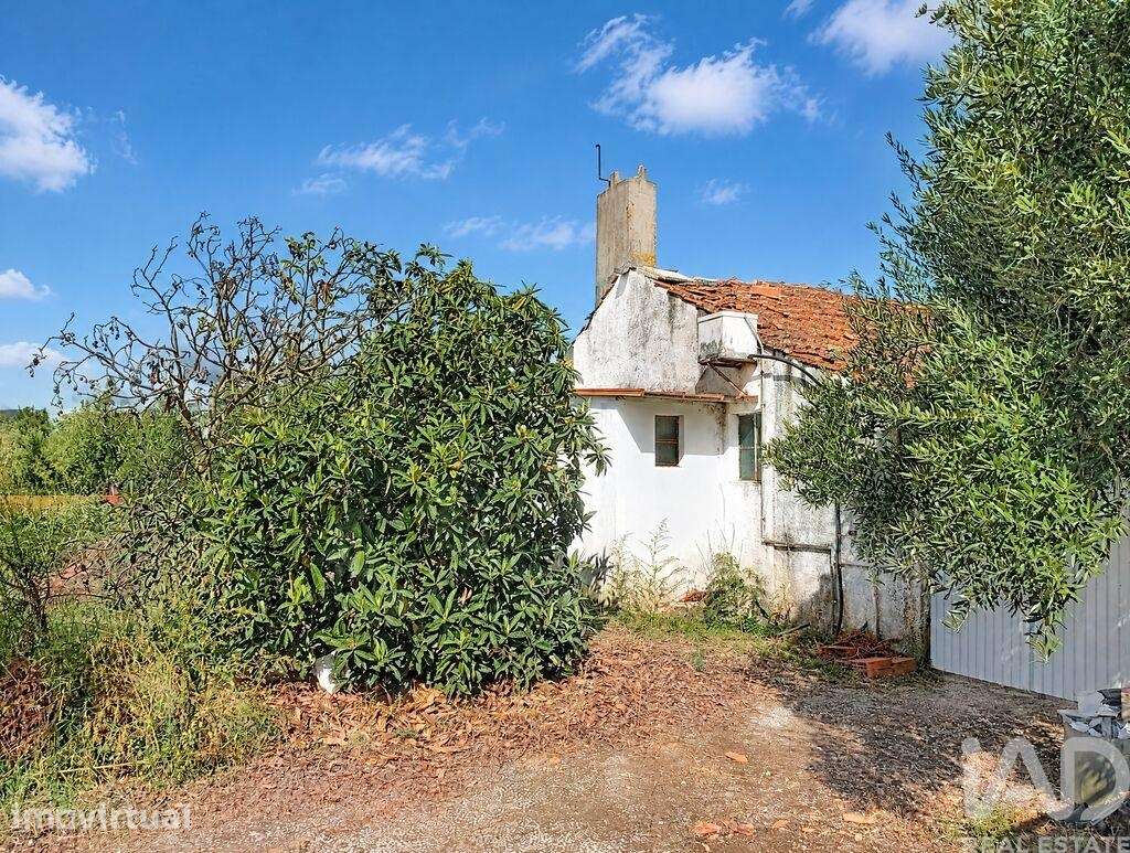 Casa / Villa T2 em Freixianda, Ribeira do Fárrio e Formigais - Grande imagem: 3/40