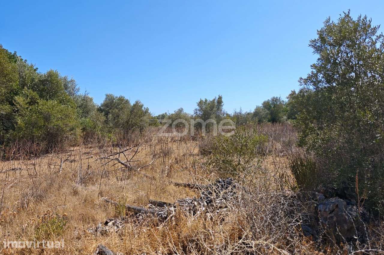 Terreno Rústico com 2.800m2 em Mouchão, Alcantarilha - Grande imagem: 3/15