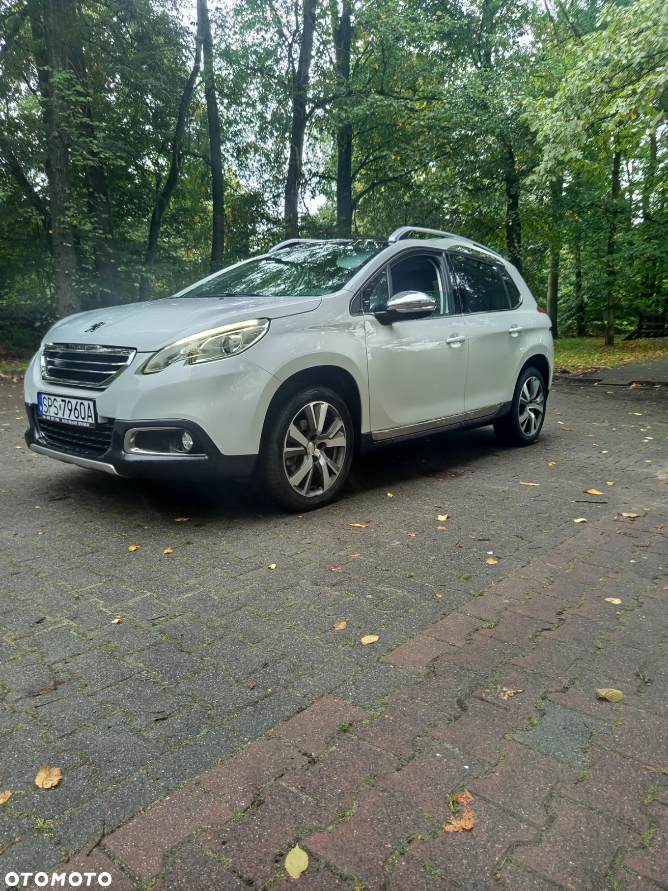 Peugeot 2008 1.6 e-HDi Allure S&S - 2