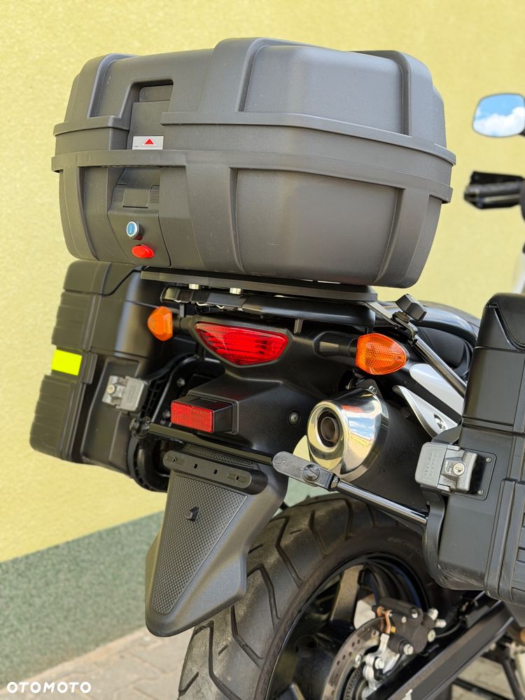 Suzuki DL - 13