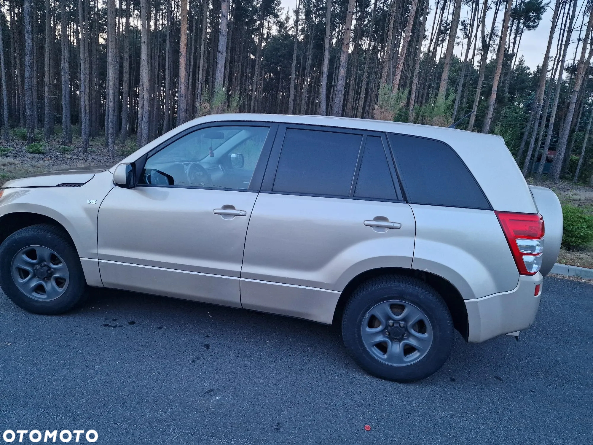 Suzuki Grand Vitara - 10