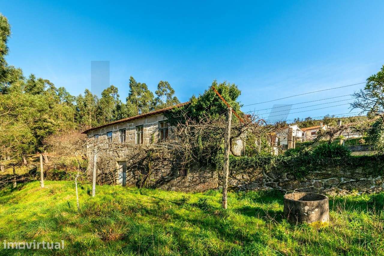 Quinta de 9.200 m2 com Moradia em Pedra | 30min do Porto (Próximo à Al - Grande imagem: 2/19