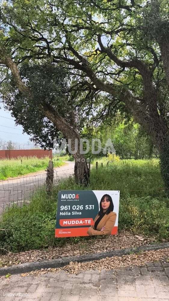 Terreno | Albergaria-a-Velha - Grande imagem: 3/4