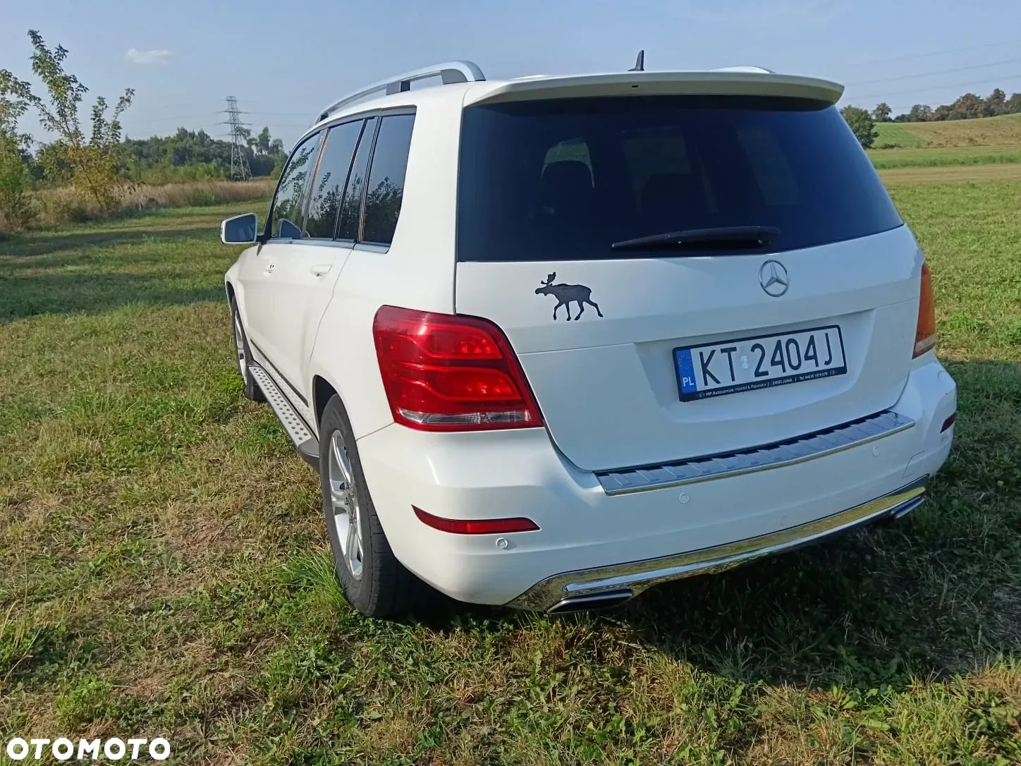 Mercedes-Benz GLK 220 CDI (BlueEFFICIENCY) 7G-TRONIC - 11