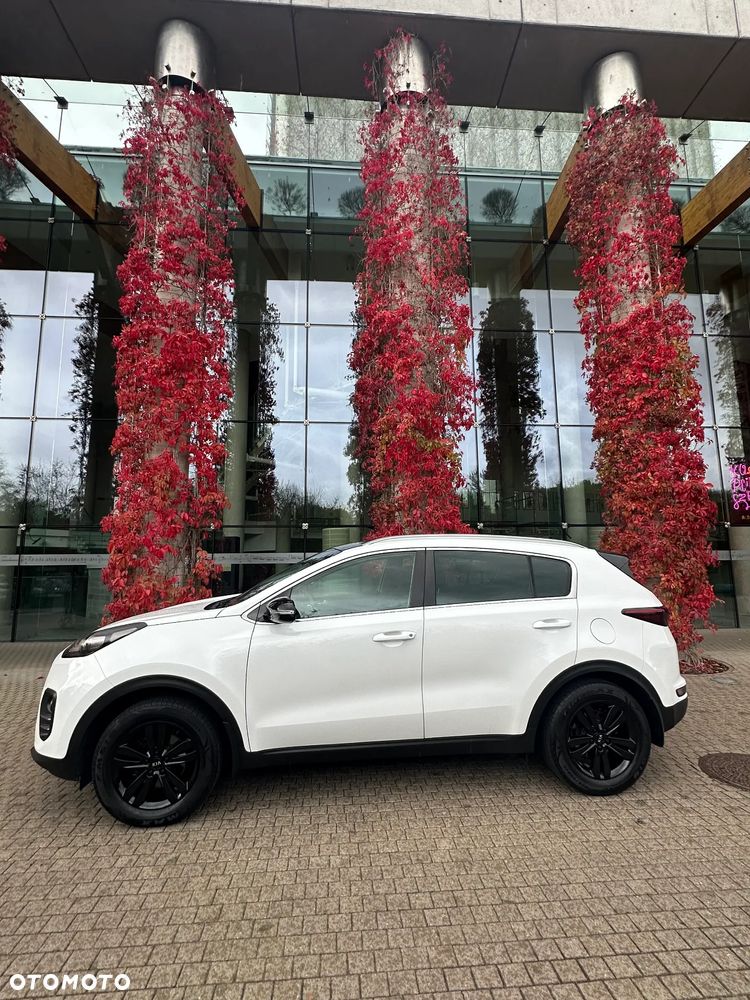 Kia Sportage 1.6 GDI Business Line 2WD - 4