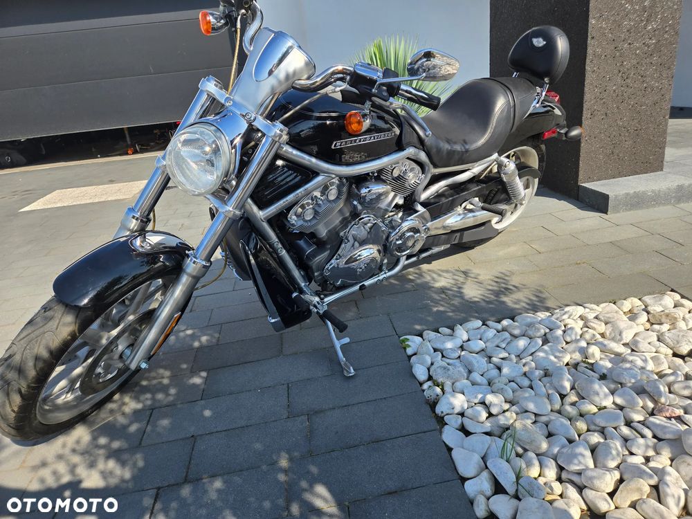 Harley-Davidson V-Rod Night Rod - 6