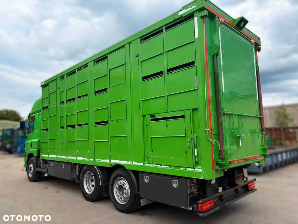 DAF CF 440 6x2 | Transport Zwierząt | KA-BA 3 Poziomy | Euro 6 | Automat | 2017 r - 4