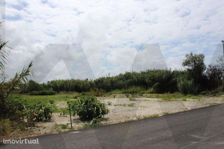 Lote de Terreno para Construção de 495,5m2 – Quintas do Sul, Torreira - Grande imagem: 2/20