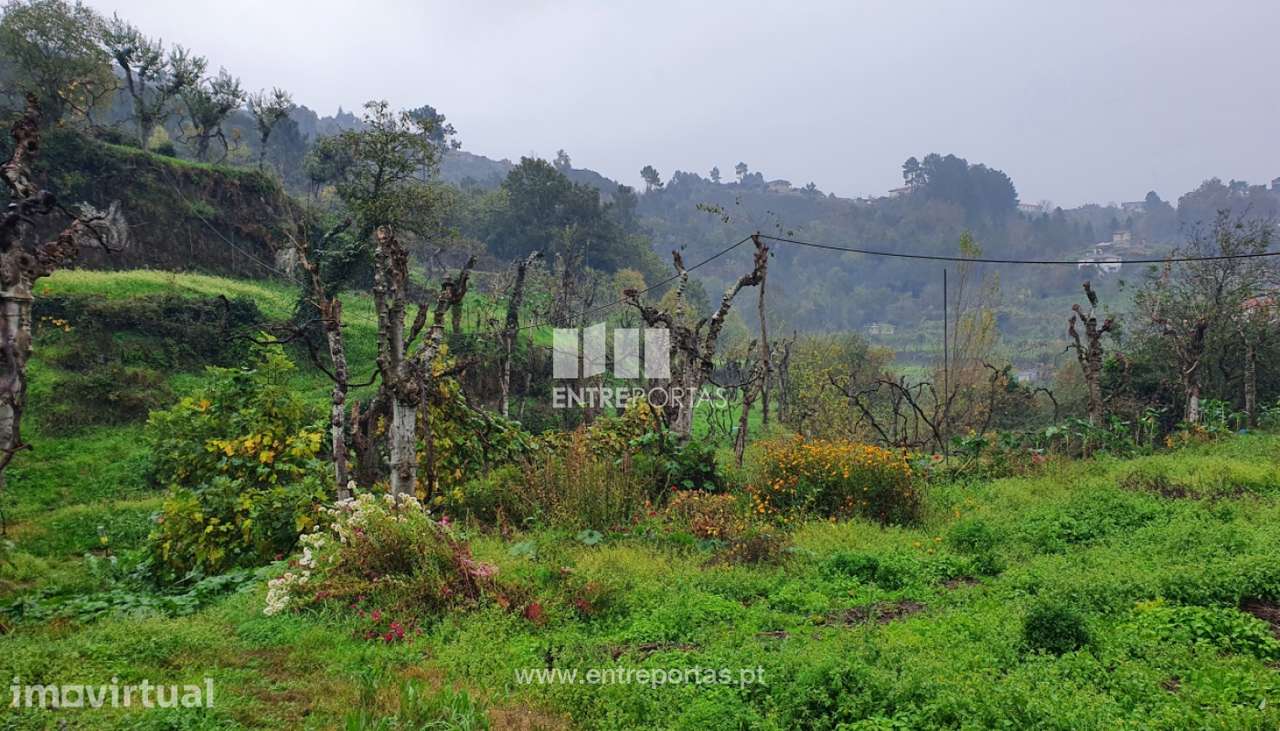 Venda de Terreno com 20500m2, Soalhães, Marco de Canaveses - Grande imagem: 5/30