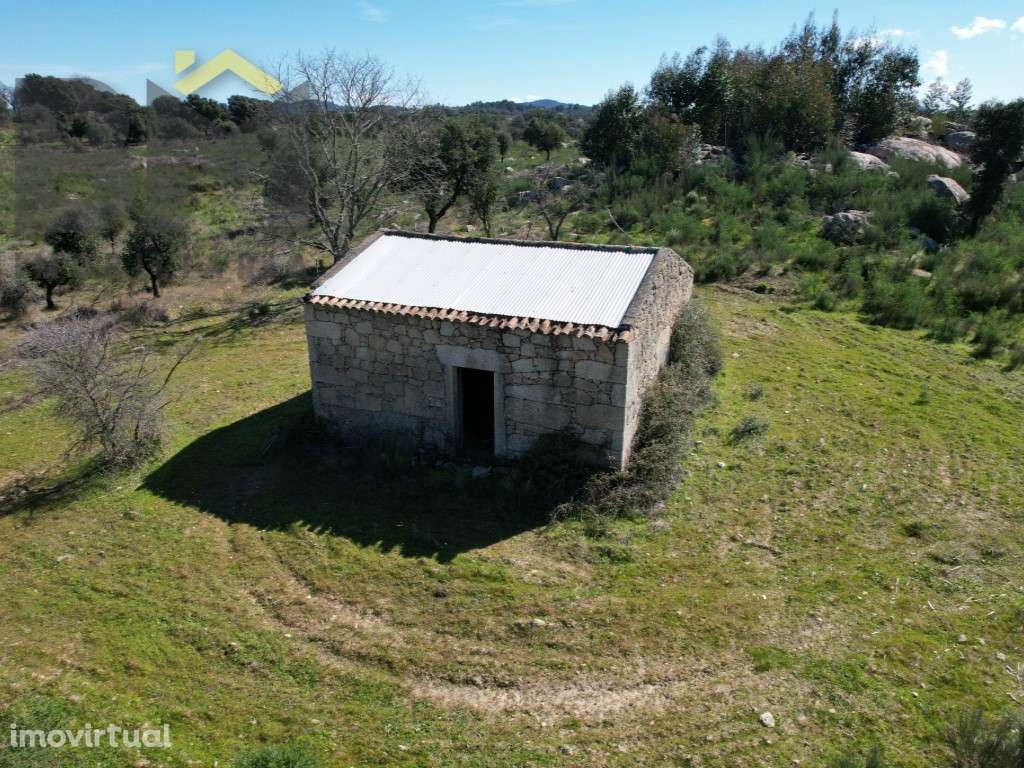 Refúgio Único em Penamacor: 7,6 Hectares de Natureza e Privacidade - Grande imagem: 2/9