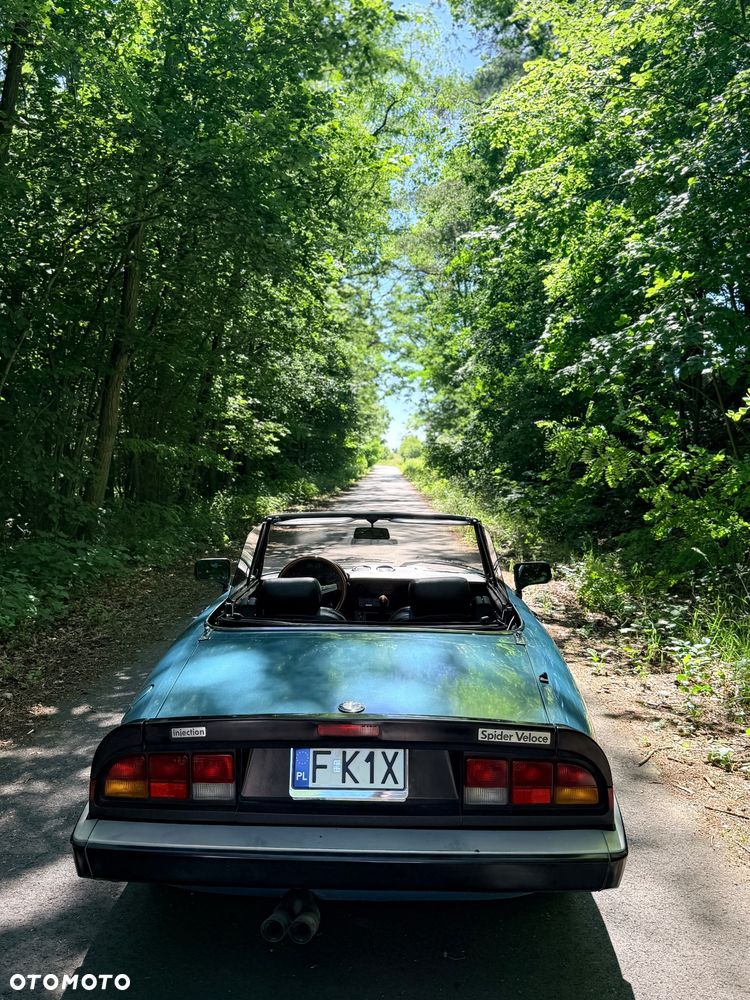 Alfa Romeo Spider - 10