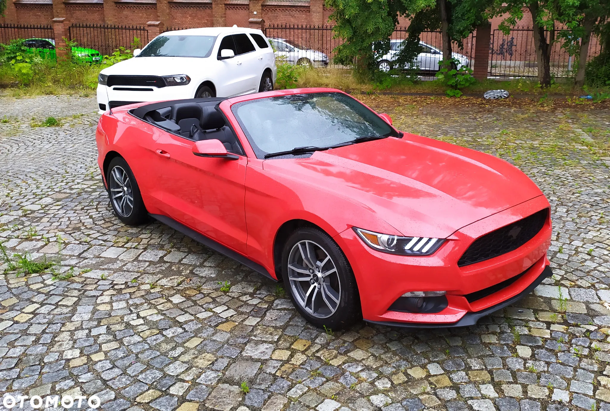 Ford Mustang 2.3 EcoBoost - 2