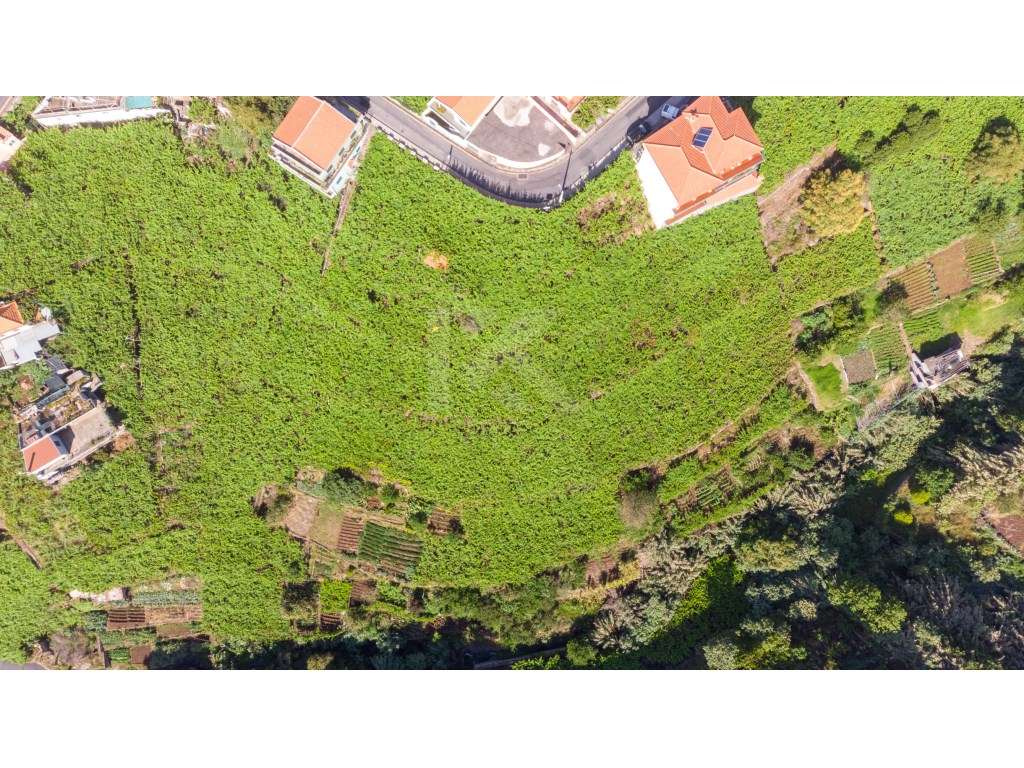 Lote Estreito de Câmara de Lobos - Grande imagem: 4/8
