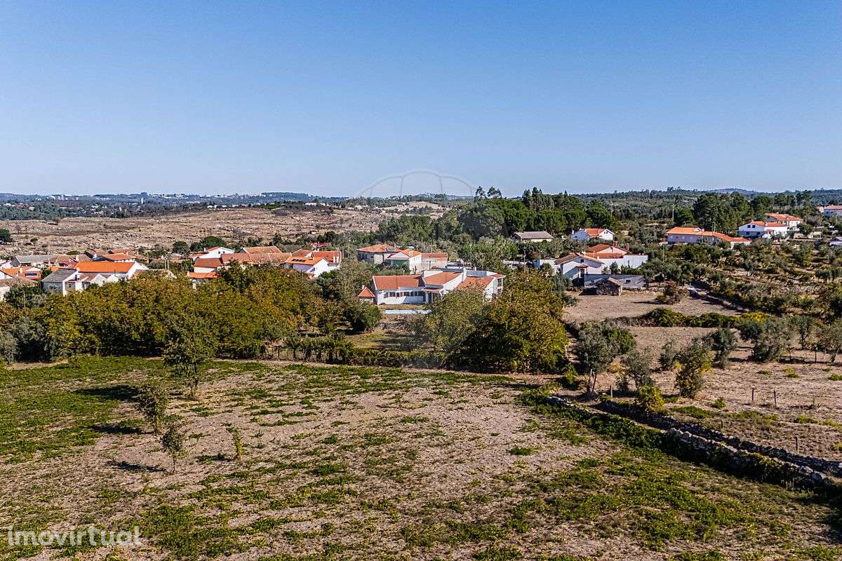 Quinta T4 para venda - Grande imagem: 5/35