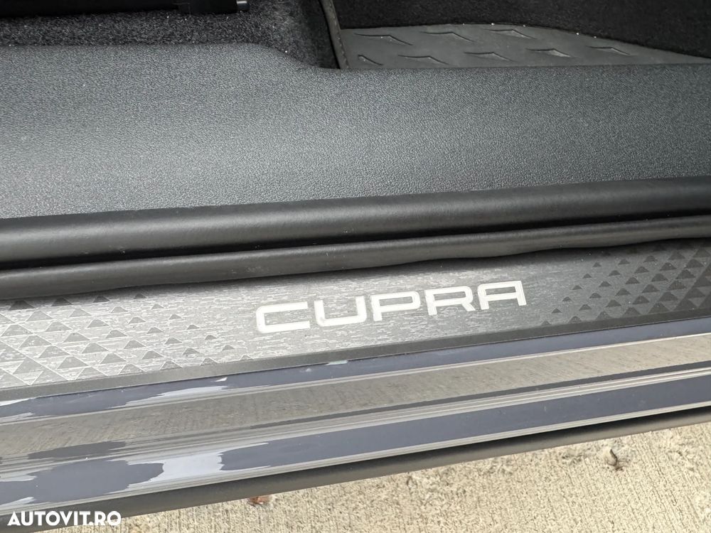 Cupra Terramar - 23
