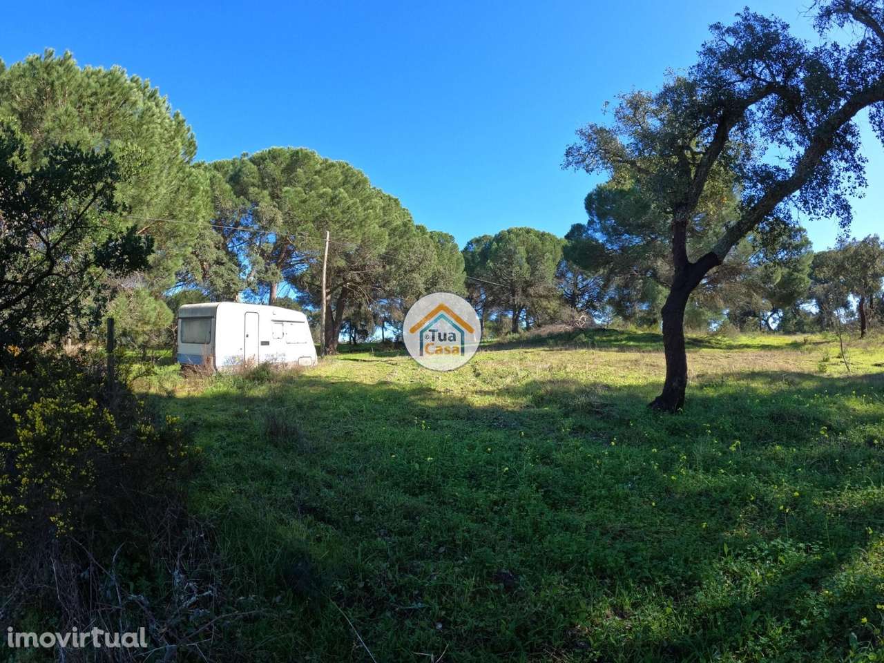 Terreno Rústico de 1,75 ha com Montado de Sobreiros – Oportunidade no - Grande imagem: 3/16