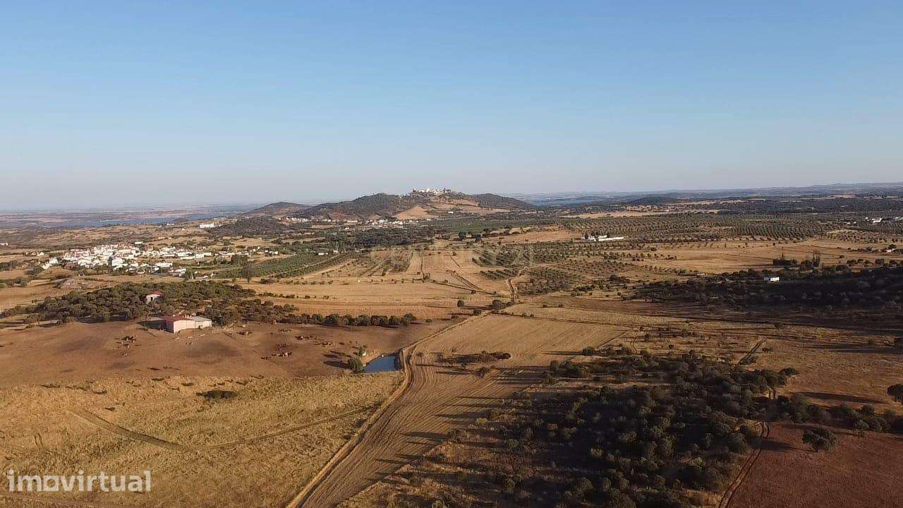 Terreno Misto em Monsaraz, Reguengos de Monsaraz - Grande imagem: 5/15