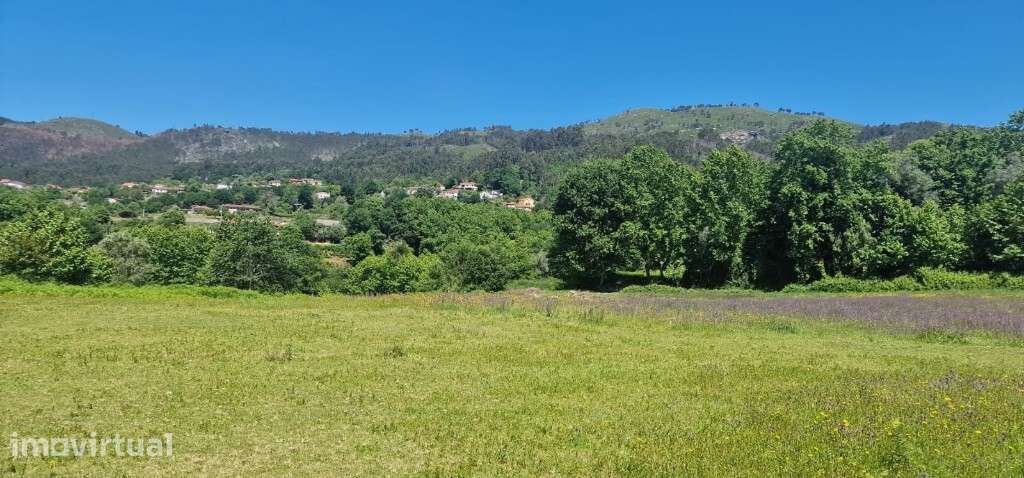 Lote p/ construção - Cantelães - Grande imagem: 4/25