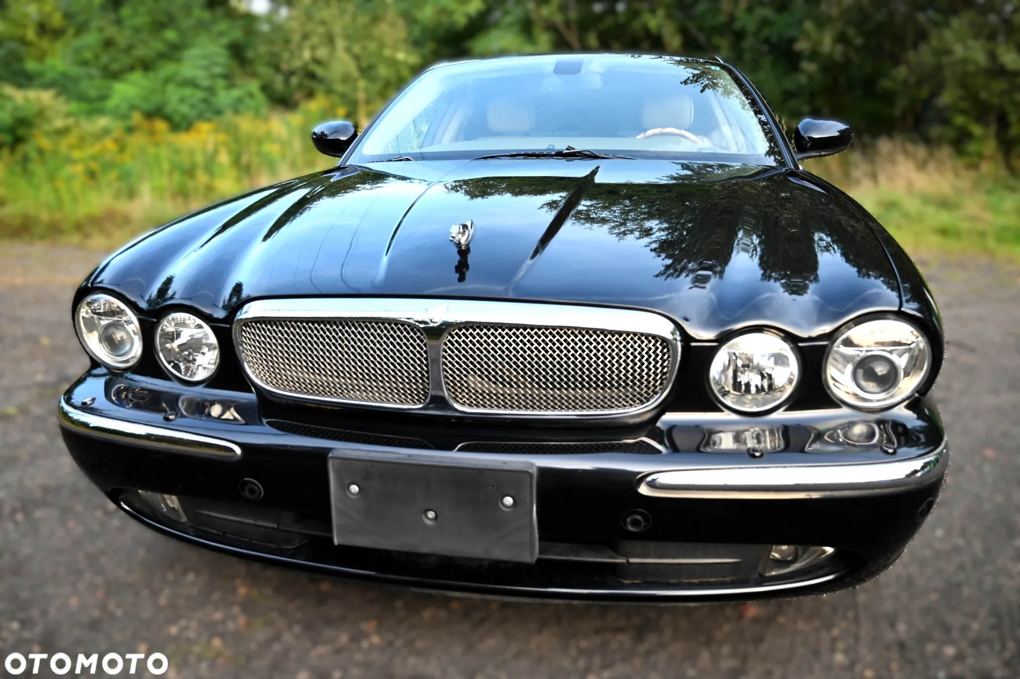 Jaguar XJ XJ8 4.2 Executive - 14