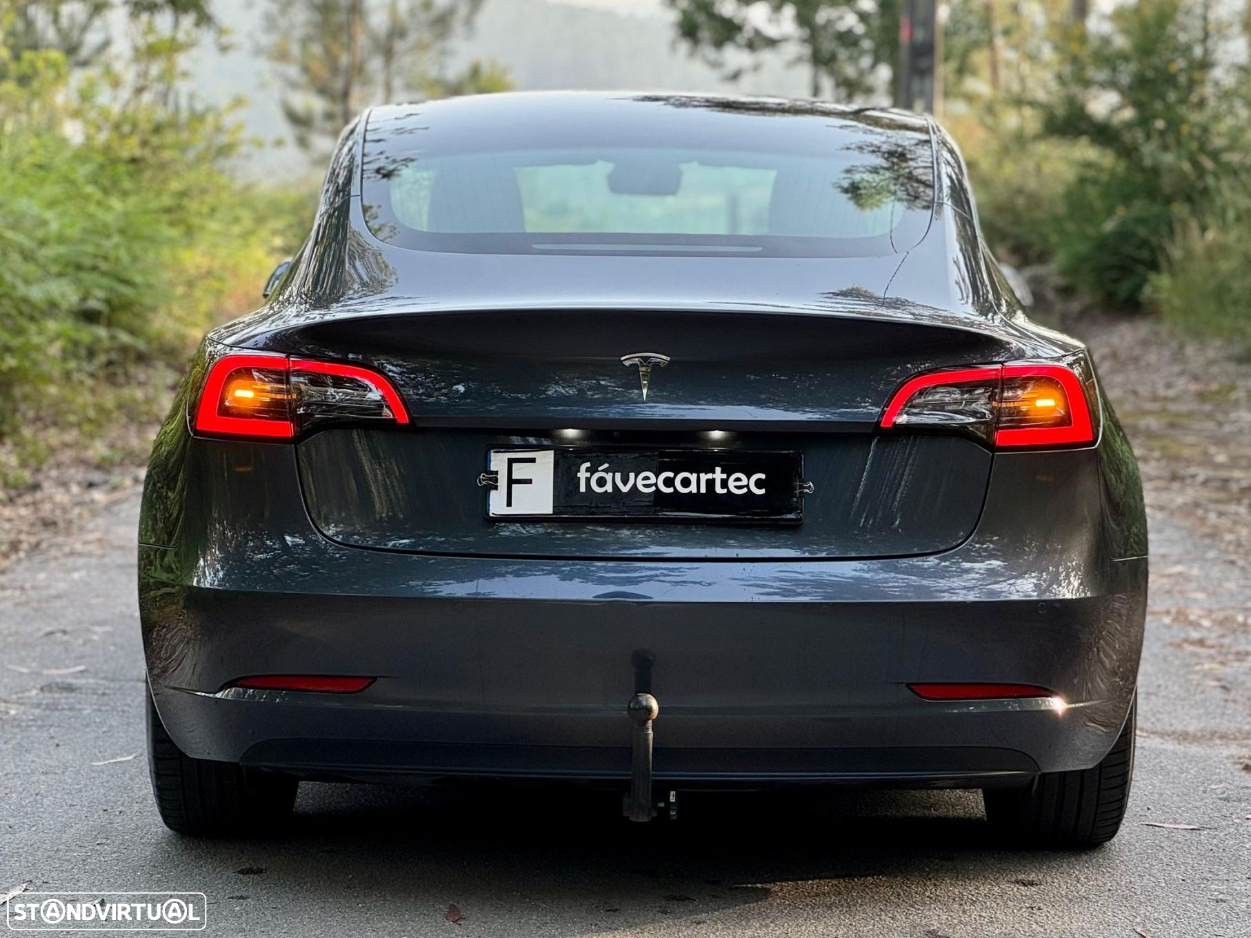 Tesla Model 3 Standard Range Plus RWD - 26
