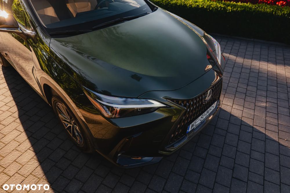 Lexus NX 450h+ Prestige AWD - 3