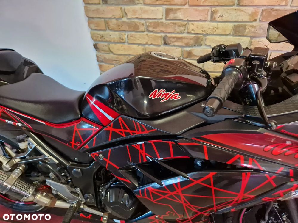Kawasaki Ninja 300 ABS - 22