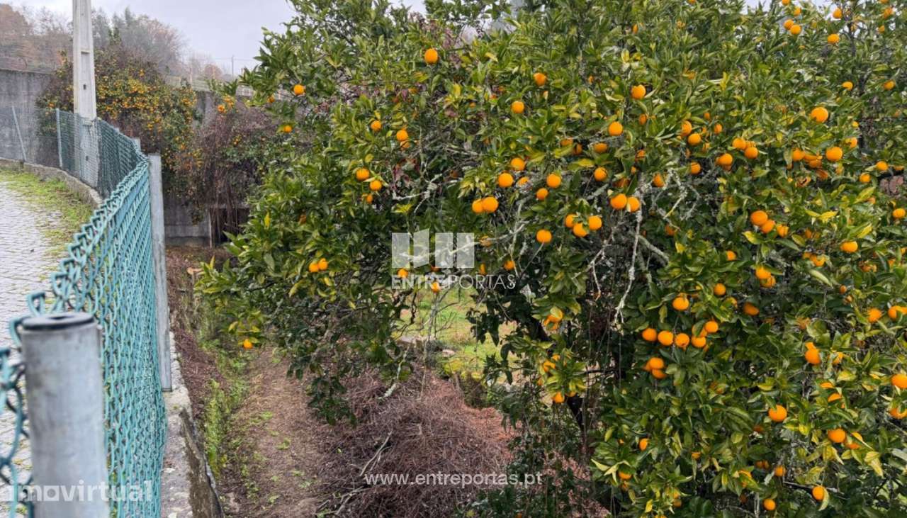 Venda Terreno, São Lourenço do Douro, Marco de Canaveses - Grande imagem: 3/17