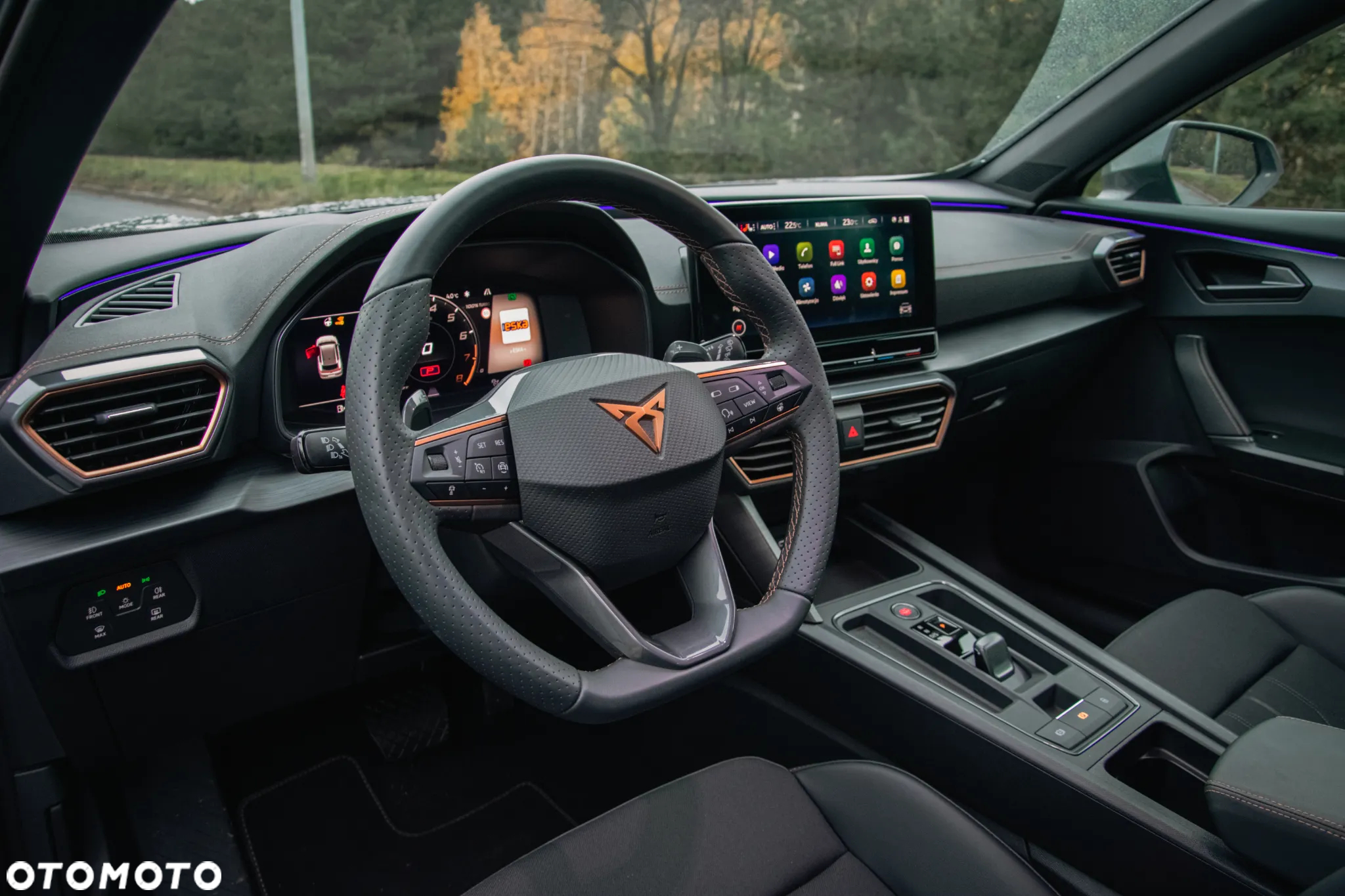 Cupra Formentor 1.5 TSI DSG - 10