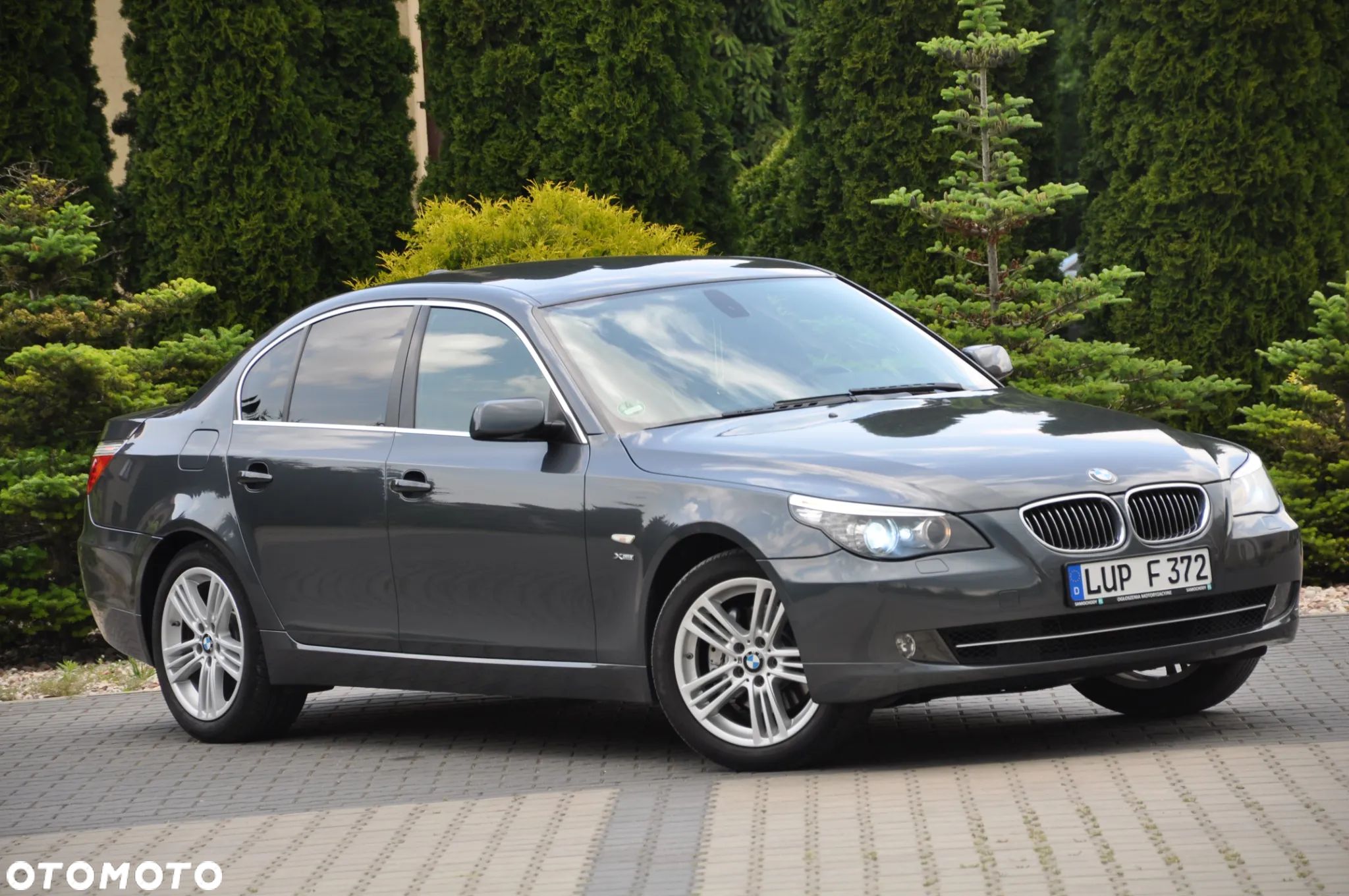 BMW Seria 5 - 1