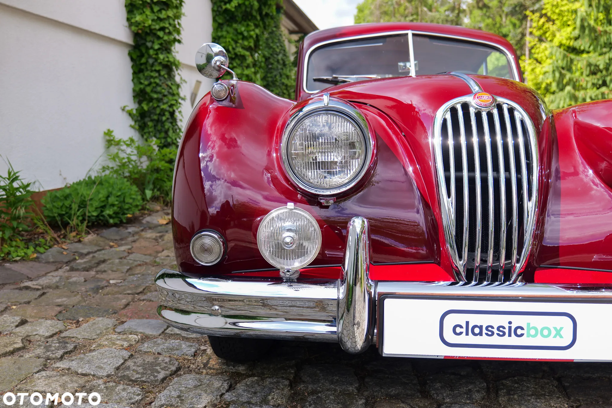 Jaguar XK - 34