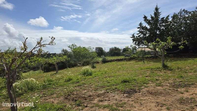 Terreno Rústico com Área Urbana – Estoi, Faro
Terreno rústico à venda - Grande imagem: 3/11