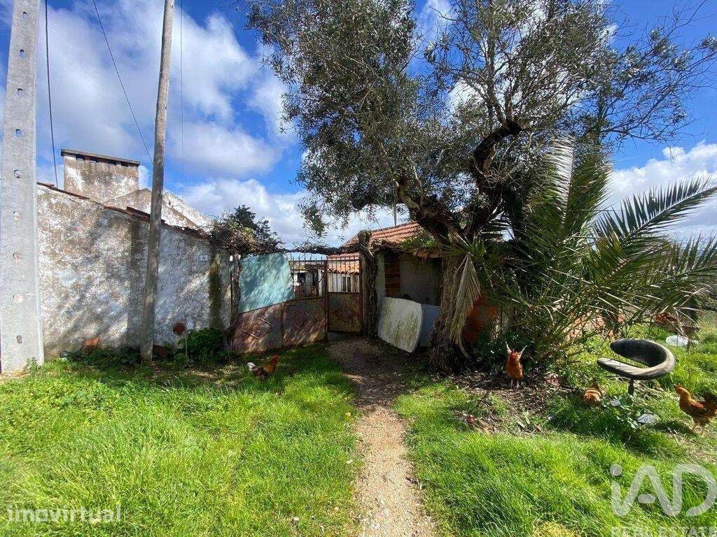 Casa de Campo T3 em Carvalhal de 91 m2 - Grande imagem: 2/19