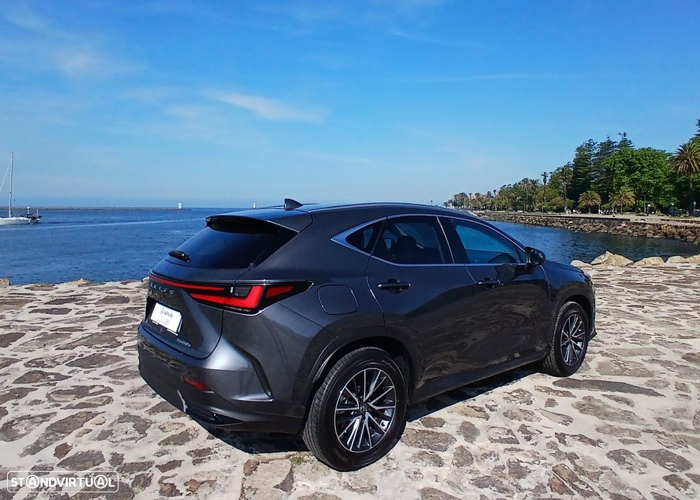 Lexus NX 450h+ - 5