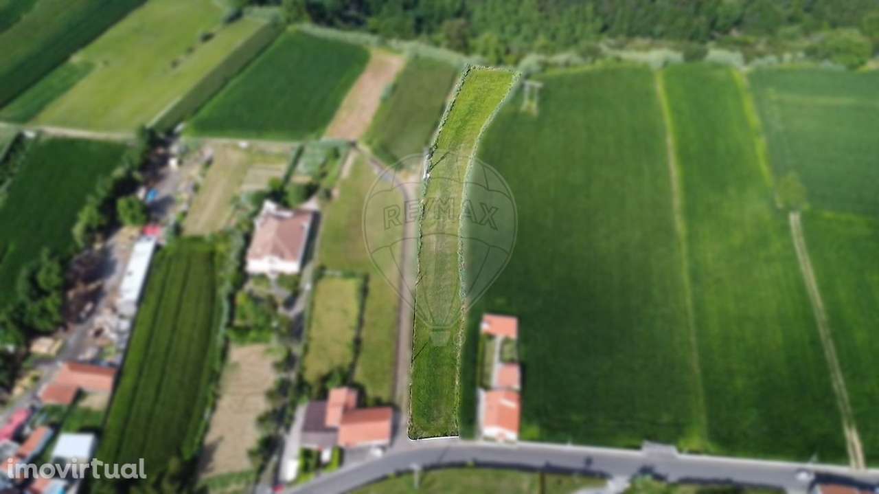 Terreno  para venda - Grande imagem: 5/5