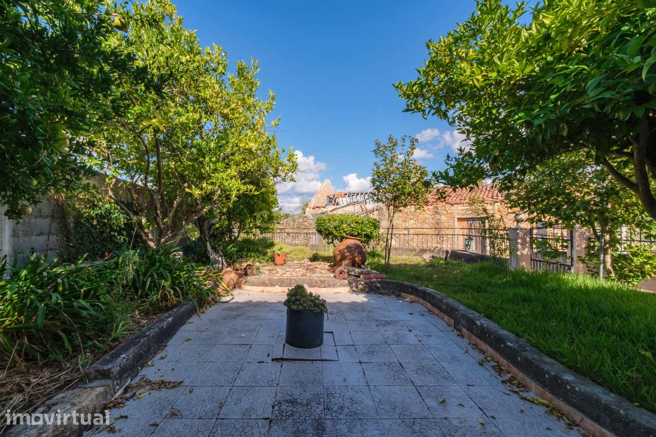 Moradia T3 térrea com 7.000 m² de terreno | Almogadel, Chãos – Ferreir - Grande imagem: 2/25