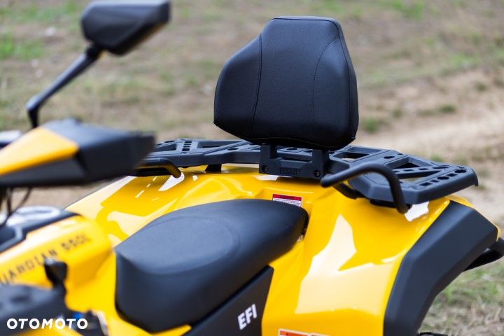 HISUN Guardian 550 - 25