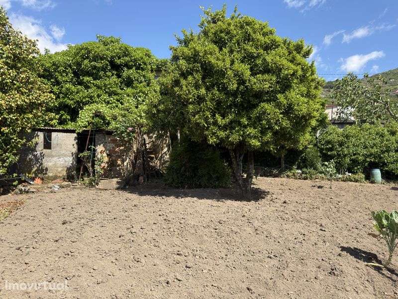 Casa no Douro em Vilar de Barrô - Resende - Grande imagem: 5/12