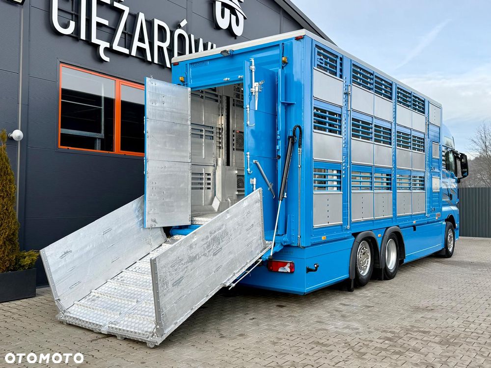 MAN TGX 26.540 // E6 // Zabudowa PEZZAIOLI // 3 poziomy hydraulika, podnoszony dach, rampa hydrauliczna // do żywca, do bydła, do transportu zwierząt - 15