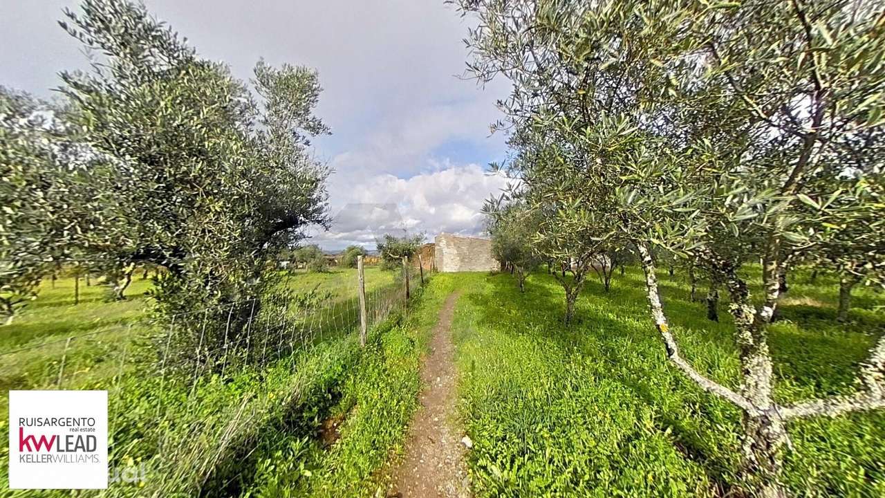 Alojamento Rustico com 6000m2 de Terreno em Salavessa Nisa - Grande imagem: 3/33