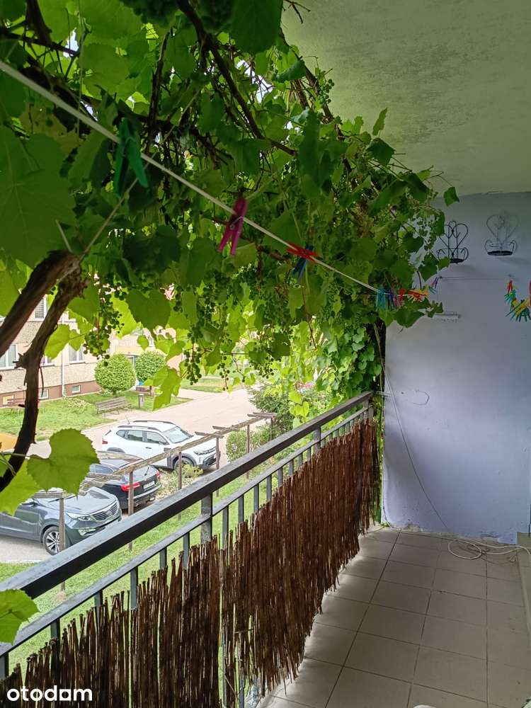 Mieszkanie, 46 m², Kleszczele