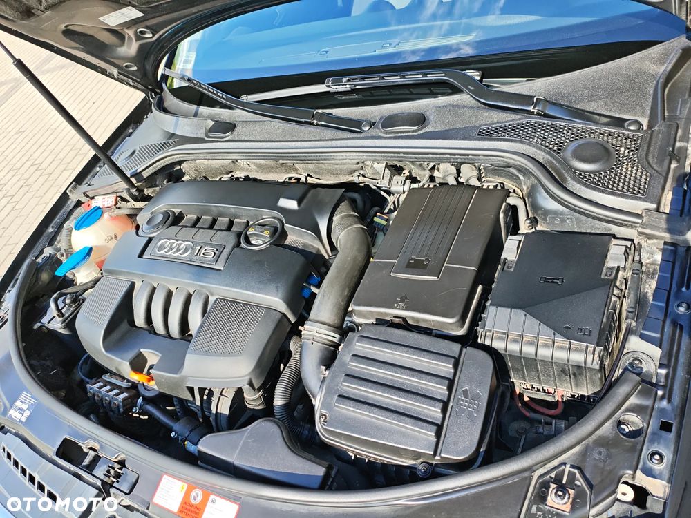 Audi A3 3-drzwiowe - 18