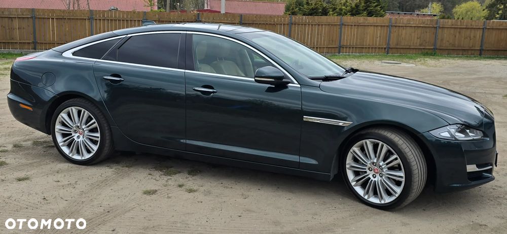 Jaguar XJ 3.0 D V6 Premium Luxury - 1