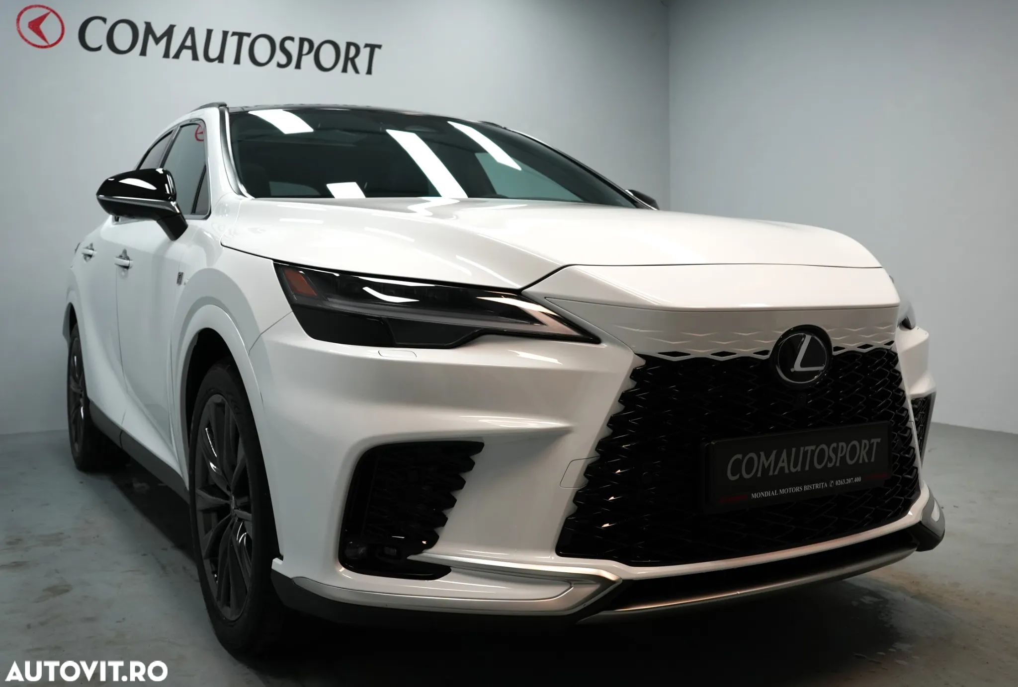 Lexus Seria RX - 1