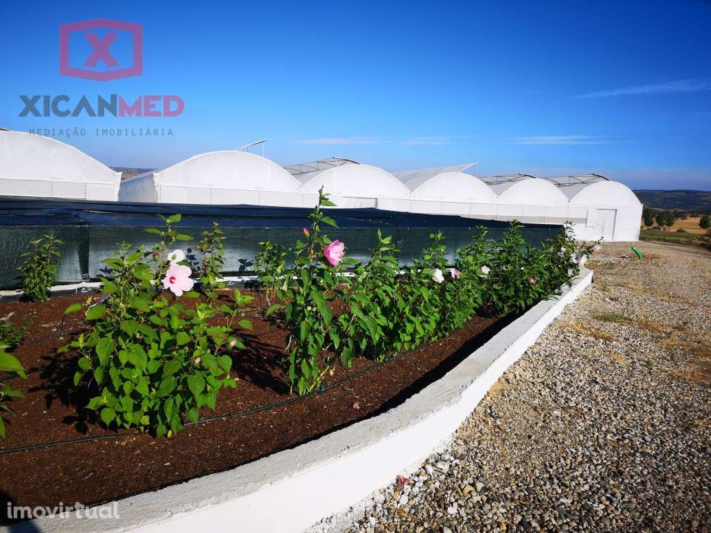 Quinta Agrícola - Grande imagem: 3/59