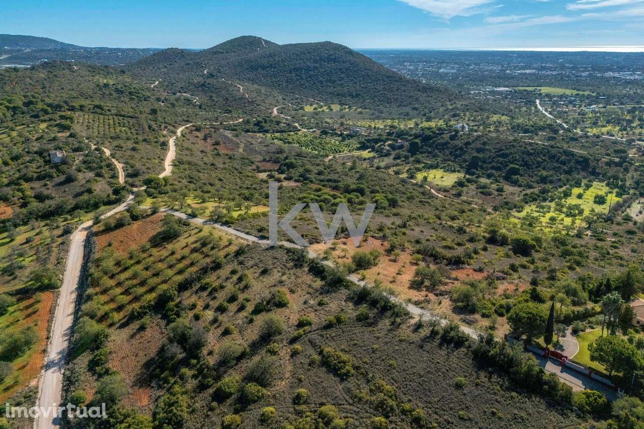 Terreno rustico de 3000m2, com vista para o mar e serra nos Caliços - - Grande imagem: 4/17