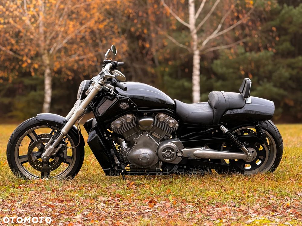 Harley-Davidson V-Rod Muscle - 4