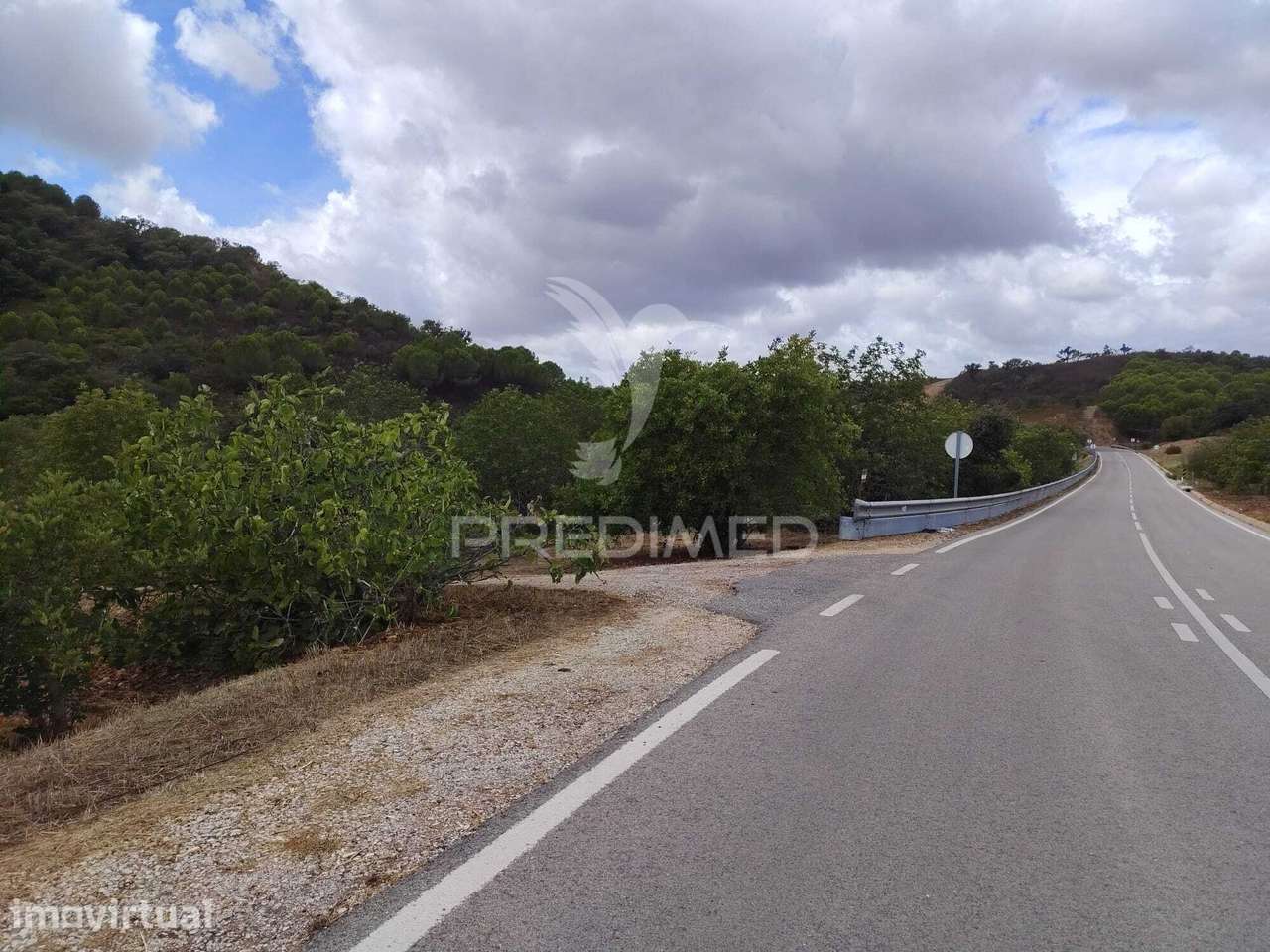 Dois parcelas para construção- Divididas por uma estrada municipal - Grande imagem: 2/27
